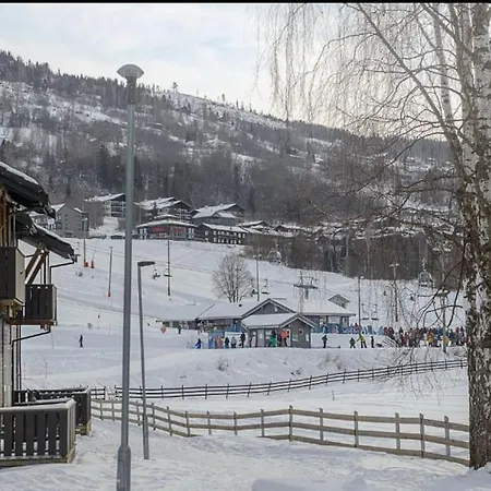 Friends & Family At Alpinlandsby/oyer Center 哈山