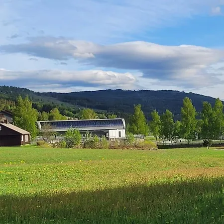 Friends & Family At Alpinlandsby/oyer Center Apartment