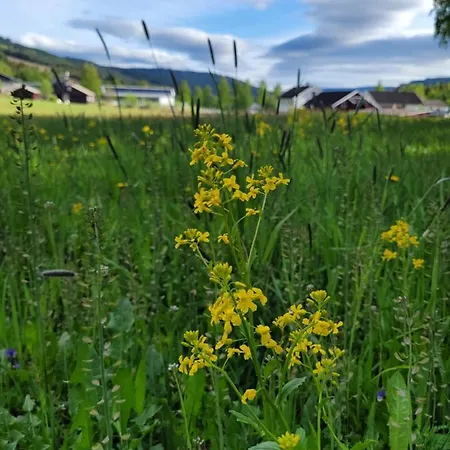 Friends & Family At Alpinlandsby/oyer Center *