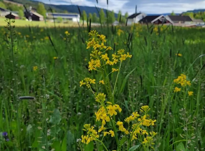 Friends & Family At Alpinlandsby/oyer Center *