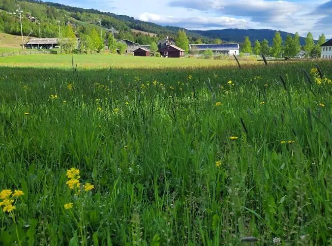 Friends & Family At Alpinlandsby/oyer Center Lägenhet *